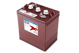 SSIG 06 290 6V Flooded Battery