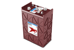 L16P-AC 6V Flooded Battery