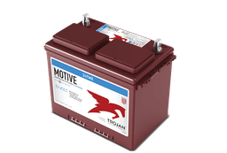 24TMX 12V Flooded Battery