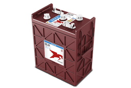 SSIG 06 405 6V Flooded Battery
