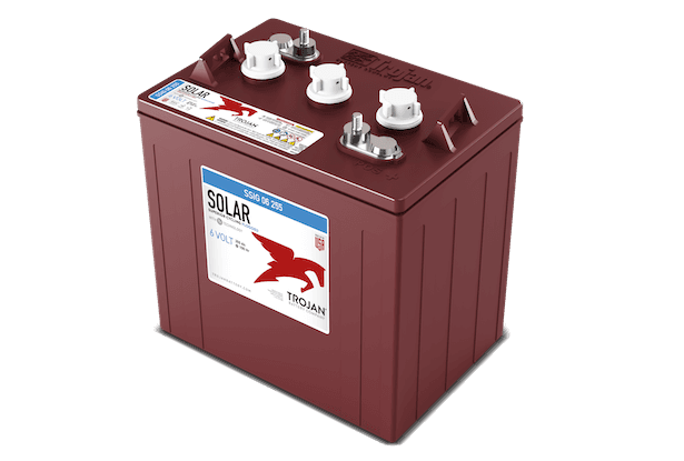 SSIG 06 255 6V Flooded Battery